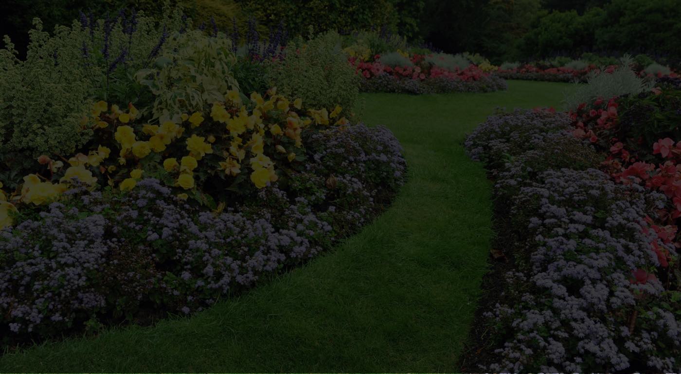 Lemus Landscaping, Columbus Ohio