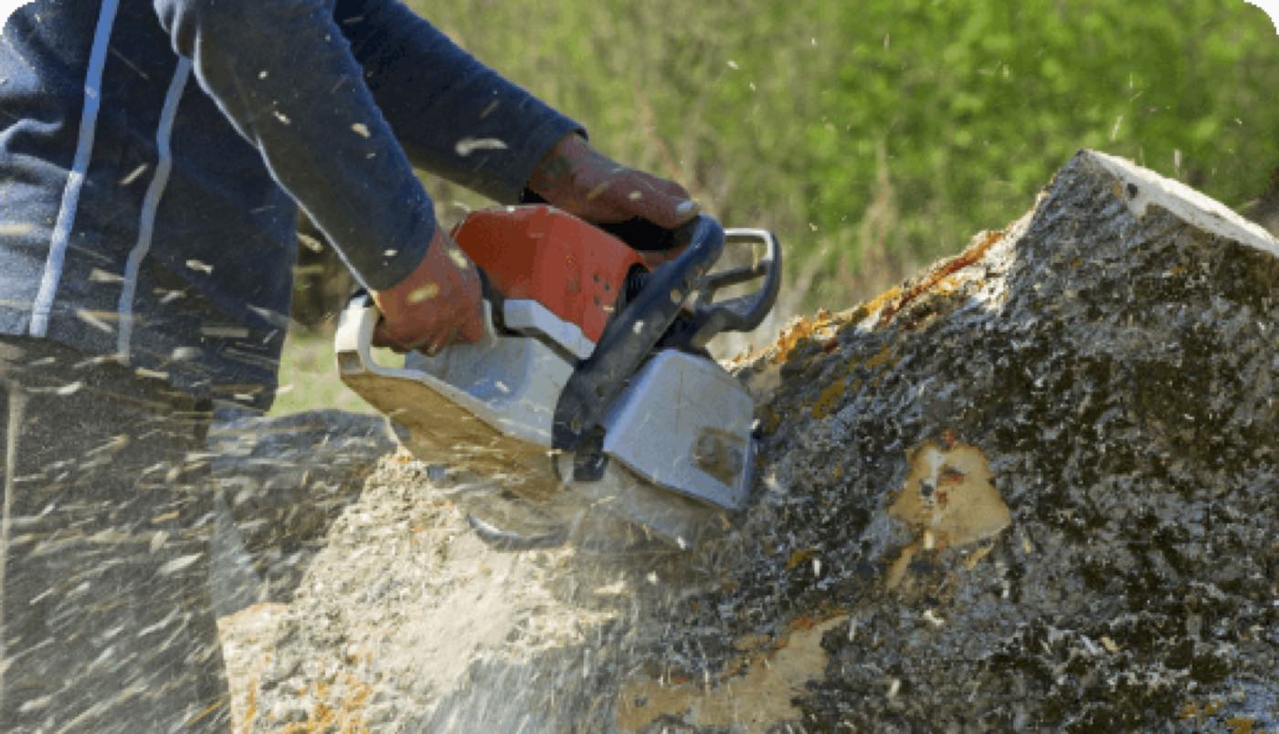 Lemus Landscaping, Columbus Ohio